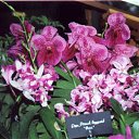 ���� ����. ��������� �� ��!, ������, 72 ���� - ��������� 13 ������ 2011 � ������ ��������