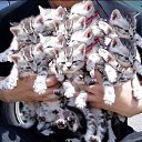 � ����� �������� ���� vk.com/fotiko �� ������� �������