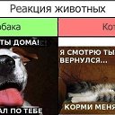 ���� �������, ���������, 32 ���� - ��������� 26 ������� 2012 � ������ ������ ��������