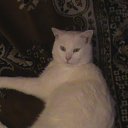 ���� ���������, ������ - ��������� 11 ������ 2009 � ������ ���� �����