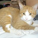 ���� �������, ���������, 24 ���� - ��������� 3 ������� 2011 � ������ ���� �����