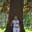 ���� �����, �����, 44 ���� - ��������� 10 ������� 2010 � ������ �������