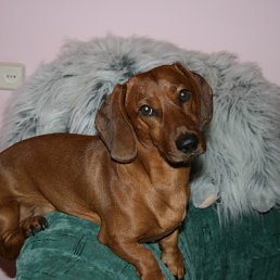  ,  , 59  -  14  2011