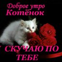 ���� �����, ������, 33 ���� - ��������� 13 ������� 2012 � ������ ���� ����������