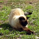 ���� Kasatkin, ����������, 48 ��� - ��������� 30 ��� 2011 � ������ �������