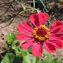 ���� Xameleon, ������, 42 ���� - ��������� 19 ������ 2009 � ������ �������, ������, ������ ���� �� ����������