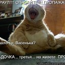 ���� ��������, �������� - ��������� 11 ����� 2012 � ������ �������� ��������