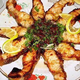 Ilgar, ����, 67 ���