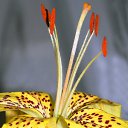 ���� ����. ��������� �� ��!, ������, 72 ���� - ��������� 15 ������ 2012 � ������ ���������