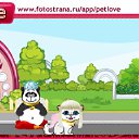  , -, 43  -  2  2011   PetLove