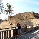 �������� �� ������� ���� ����������