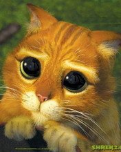 �������, ��������, 48 ���