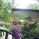 ������ 2013 ���. �������. ���� ����. �� ������� ���� ����������