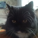   ~~, , 35  -  4  2009   