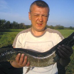 �����, �����������, 47 ���