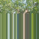  , , 40  -  19  2012       =***