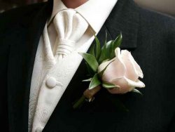 ���� ������, ������� - ��������� 7 ������ 2011