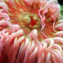 ���� ����� - ���������� ��������!!!, �����������, 56 ��� - ��������� 20 ������� 2009 � ������ ������������� ��������� � ��������� ���!�