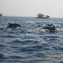 ����� ������� � ������������ ����������� �� ������� ����-�����