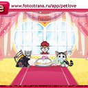 ���� ���, ������, 33 ���� - ��������� 8 ��� 2011 � ������ �PetLove�