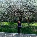 ���� ��������, �������� - ��������� 22 ��� 2011 � ������ ���� ����������