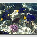 ���� ����� - ���������� ��������!!!, �����������, 56 ��� - ��������� 12 ������ 2010 � ������ ������