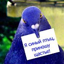 ���� ������, ������, 54 ���� - ��������� 22 ������� 2009 � ������ �������ۻ