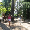 ���� ��������, ������, 46 ��� - ��������� 13 ������� 2011 � ������ ���� ����������