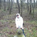 ���� � ���������� � ������� �� ������� ���� ����������