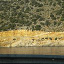 ���� �������"c*h*a*o*s" �����������, ������������, 40 ��� - ��������� 18 ������� 2010 � ������ ������� � ��