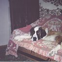 ���� ������, �������, 64 ���� - ��������� 2 ���� 2011 � ������ ��������