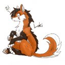 ���� �����, ������ - ��������� 9 ������� 2012 � ������ ���������