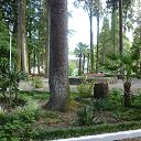 ������������ ��� � ������. �� ������� ������. �������.�