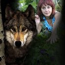  , , 66  -  22  2011   PetLove