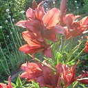 ���� �������, ������, 68 ��� - ��������� 1 ������ 2011 � ������ ���������, �������, �������� (����� � �����)�