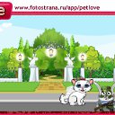  , , 40  -  20  2010   PetLove