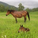  Adam, , 59  -  20  2013