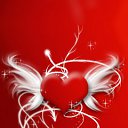 ���� ������, ������� ������, 40 ��� - ��������� 12 ������� 2012