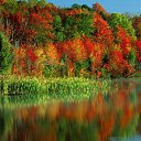 ���� ����, ��������� - ��������� 20 ������� 2012 � ������ ��������