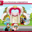  , , 36  -  8  2010   PetLove