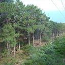 ���� ������, ���������, 50 ��� - ��������� 12 ������ 2010 � ������ �������