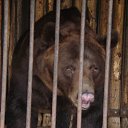 ���� ����, ������, 24 ���� - ��������� 10 ������� 2011 � ������ ������ � ��������� �������.�