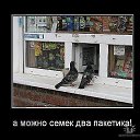 ���� �����, ����������, 60 ��� - ��������� 20 ������� 2010 � ������ �������