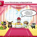 ���� �������, �����-���������, 79 ��� - ��������� 4 ����� 2011 � ������ �PetLove�