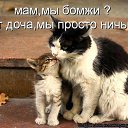 ���� �������� �������� �� � �� �������., ������, 64 ���� - ��������� 20 ������ 2012 � ������ ��������