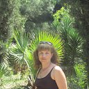 ���� ������!, �����������, 52 ���� - ��������� 5 ���� 2013 � ������ ���� �� ����� ���������