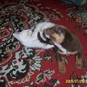 ���� ���������, ����������, 35 ��� - ��������� 26 ������ 2011 � ������ ���������=)�