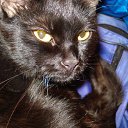 ���� ����, �������, 38 ��� - ��������� 3 ����� 2012