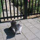 ���� ���������, ����, 53 ���� - ��������� 7 ������� 2011 � ������ �����������