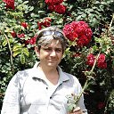 ���� ���������, ���������, 56 ��� - ��������� 27 ���� 2013